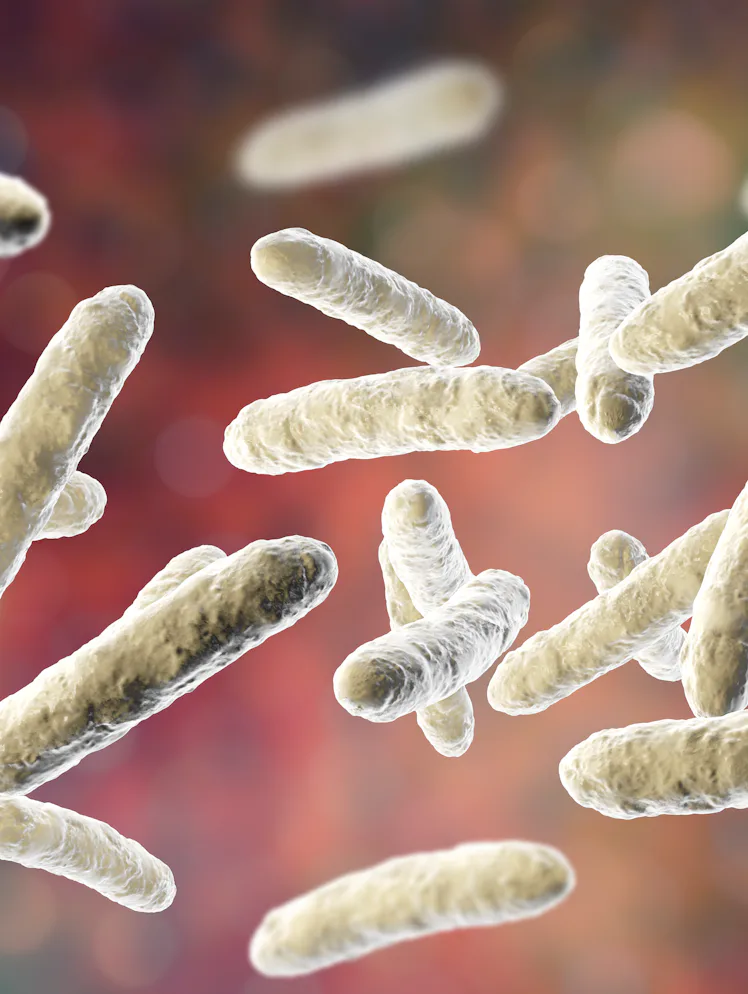 Probiota Gut Week