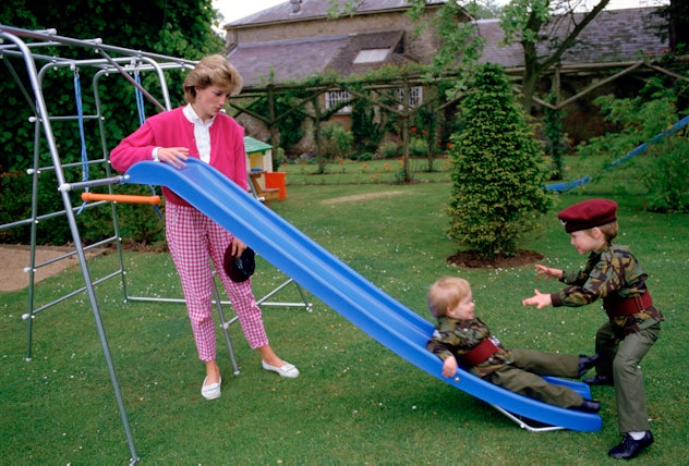 Prince William aims to stop Prince Harry on the slide.