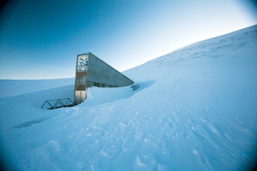 The entrance to the international gene bank Svalbard Global Seed Vault (SGSV) near Longyearbyen on S...