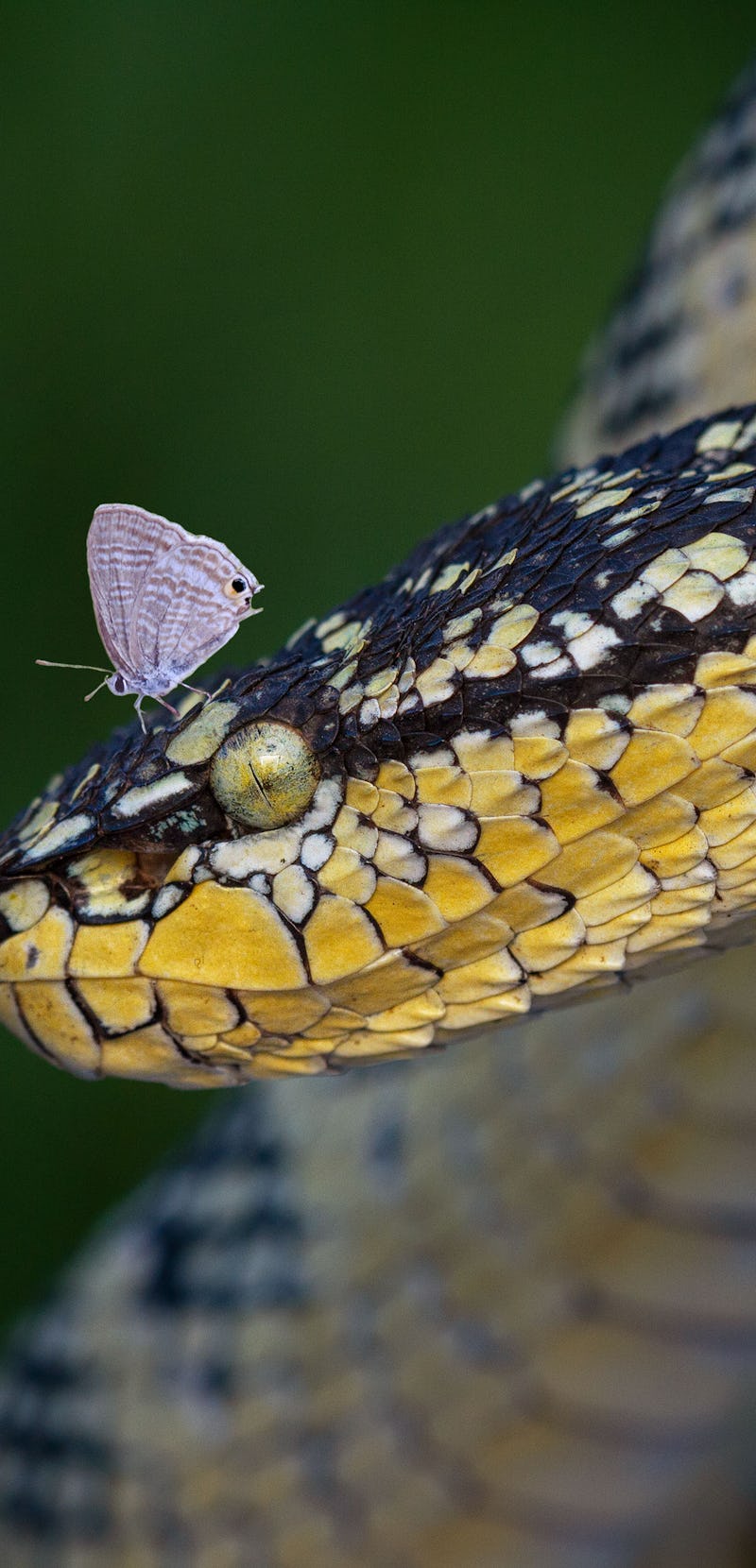 Photo taken in Palangkaraya, Indonesia