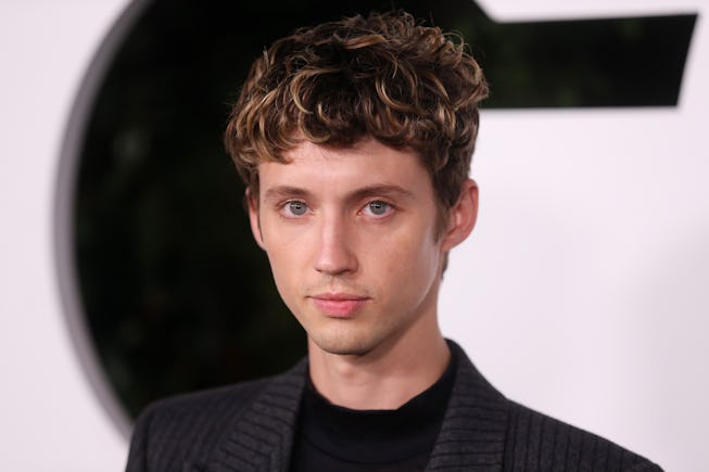 WEST HOLLYWOOD, CALIFORNIA - NOVEMBER 18: Troye Sivan attends the GQ Men Of The Year Celebration on ...