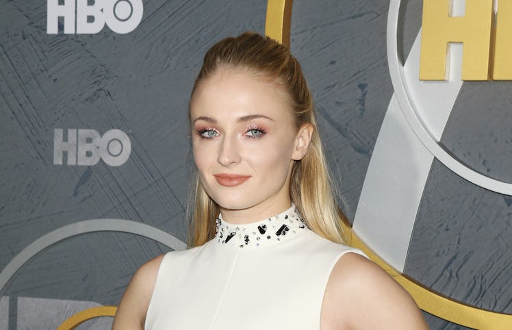 Sophie Turner trolled Joe Jonas during Netflix's Jonas Brothers Family Roast.