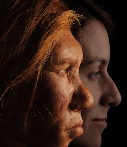 The Neanderthal woman was re-created and built by Dutch artists Andrie and Alfons Kennis. They used ...