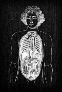 Antique illustration of human body anatomy: Chest