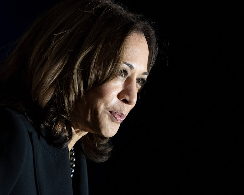 US Vice President Kamala Harris speaks at the Plumbers and Pipefitters Local 189 union hall on Novem...