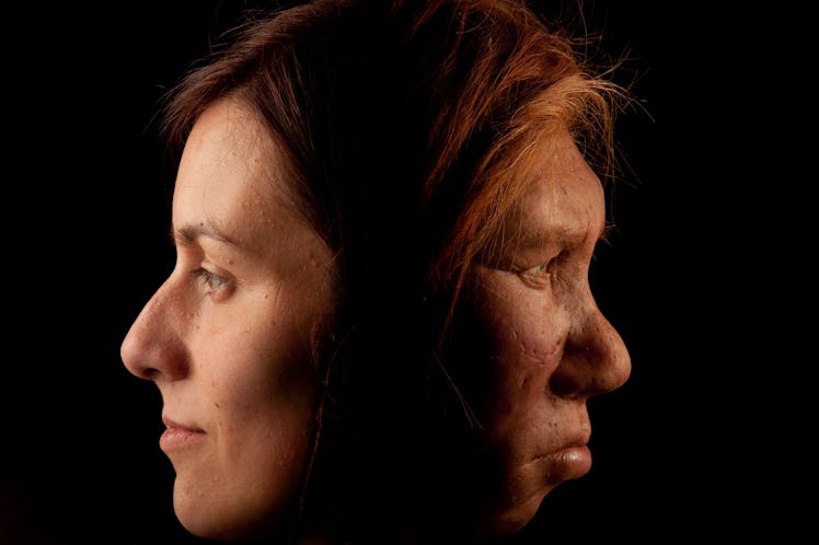 The Neanderthal woman was re-created and built by Dutch artists Andrie and Alfons Kennis. They used ...