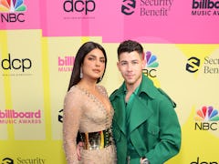 Priyanka Chopra Jonas and Nick Jonas caused breakup rumors after Priyanka updated her Instagram.
