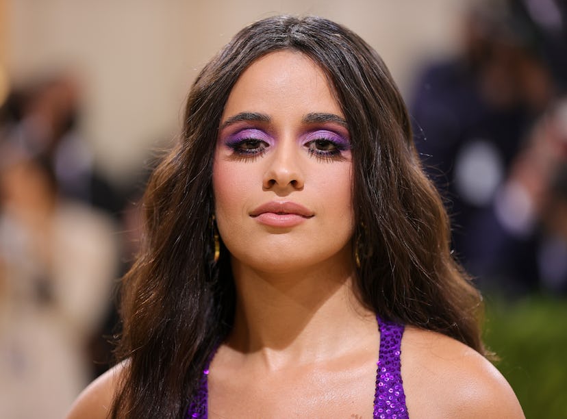 Camila Cabello posted for Thanksgiving after her breakup with Shawn Mendes, and it's all about grati...