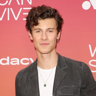 Camila Cabello posted for Thanksgiving after her Shawn Mendes breakup, and it's all about staying gr...
