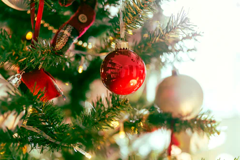 Christmas background - baubles and branch of spruce tree,Shiny Christmas red ball hanging on pine br...