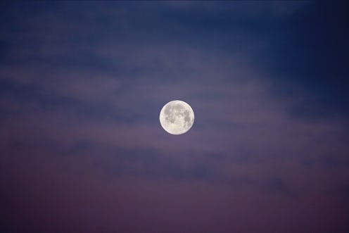 The full moon of January is setting on a beautiful blue hour in tender light of winter sunrise.