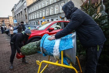 Traditional Christmas trees are sold at Stary Kleparz marketplace during the coronavirus pandemic in...