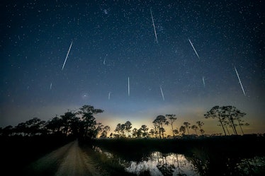 Geminid Meteor Shower 2020 over pond and direct road in Fred C. Babcock/Cecil M. Webb Wildlife Manag...