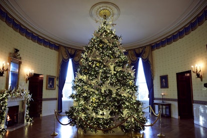 WASHINGTON, DC - NOVEMBER 29:  The official White House Christmas Tree stands in the Blue Room of th...