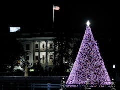 WASHINGTON, USA - DECEMBER 02: The National Christmas Tree is lit on The Ellipse south of the White ...