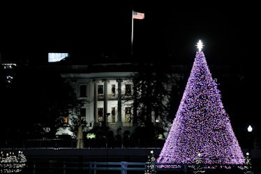 WASHINGTON, USA - DECEMBER 02: The National Christmas Tree is lit on The Ellipse south of the White ...