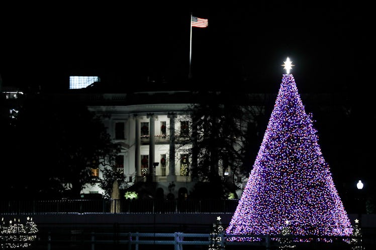 WASHINGTON, USA - DECEMBER 02: The National Christmas Tree is lit on The Ellipse south of the White ...