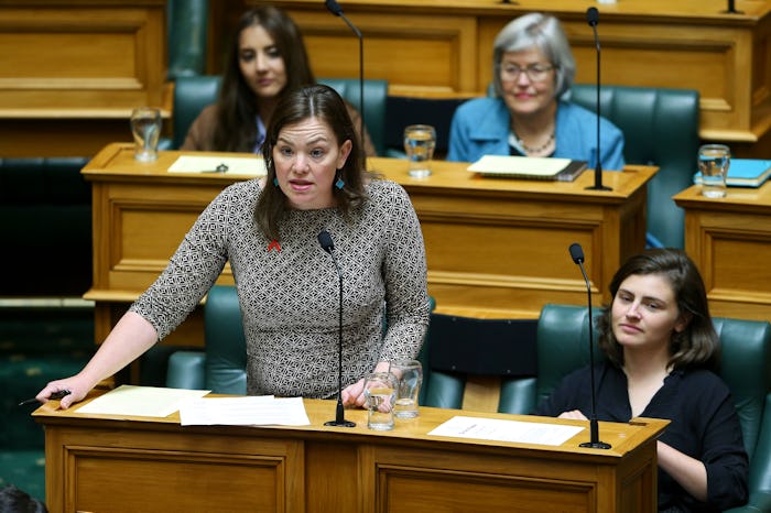 WELLINGTON, NEW ZEALAND - DECEMBER 01: Green MP Julie Anne Genter speaks during the first sitting da...