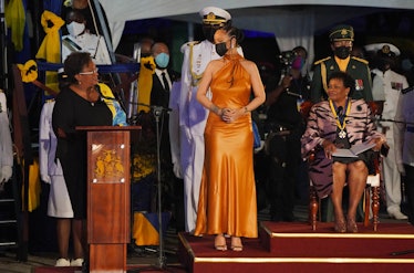 Rihanna (C) attends the Presidential Inauguration Ceremony 