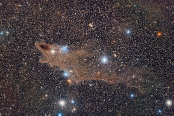 Dark Shark Nebula, LDN 1235.