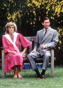 Prince Charles, Prince of Wales and Diana, Princess of Wales, while 6 months pregnant with Prince Ha...