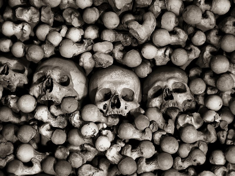 Human skulls and bones. Kutna Hora, Czech Republic. Sedlec, All Saints Chapel, the ossuary. Close-Up...
