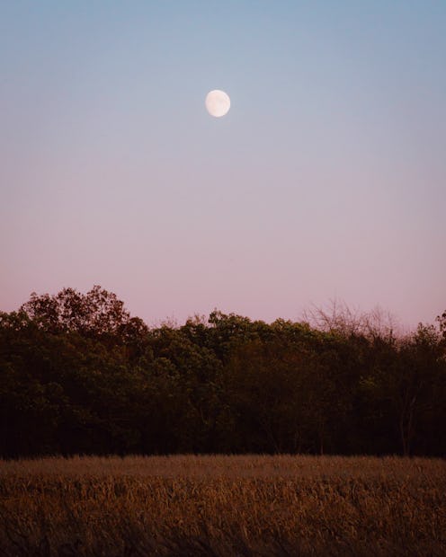 Full moon in rural setting in fall at dusk