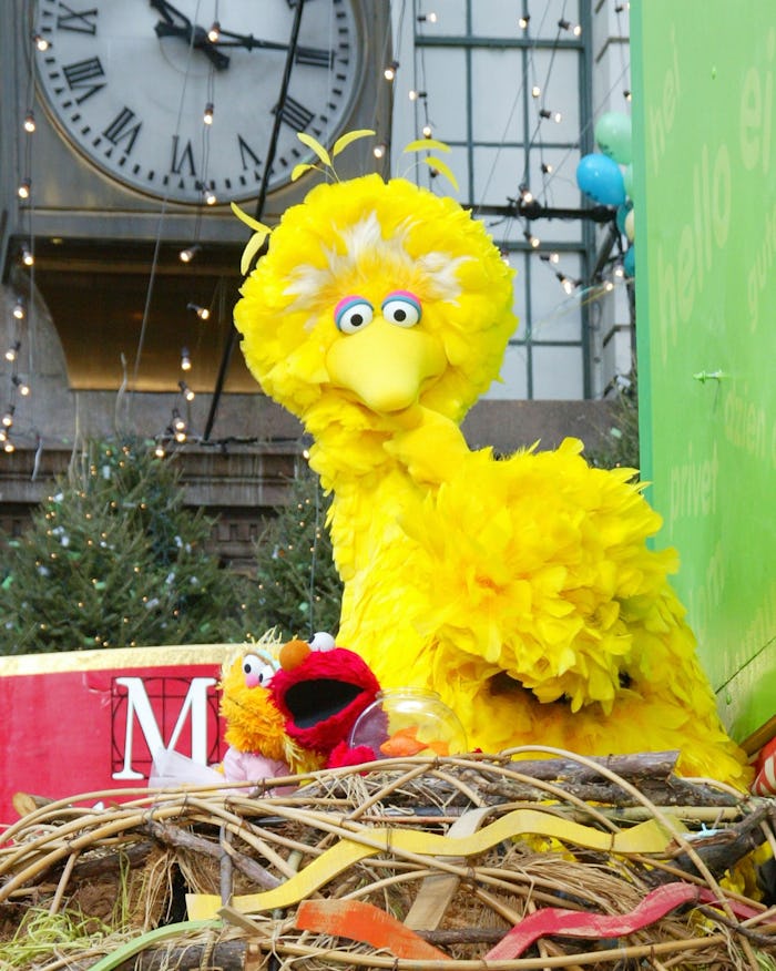 NEW YORK - NOVEMBER 28: Sesame Street's Big Bird and friends perform at the 76th Annual Macy's Than...