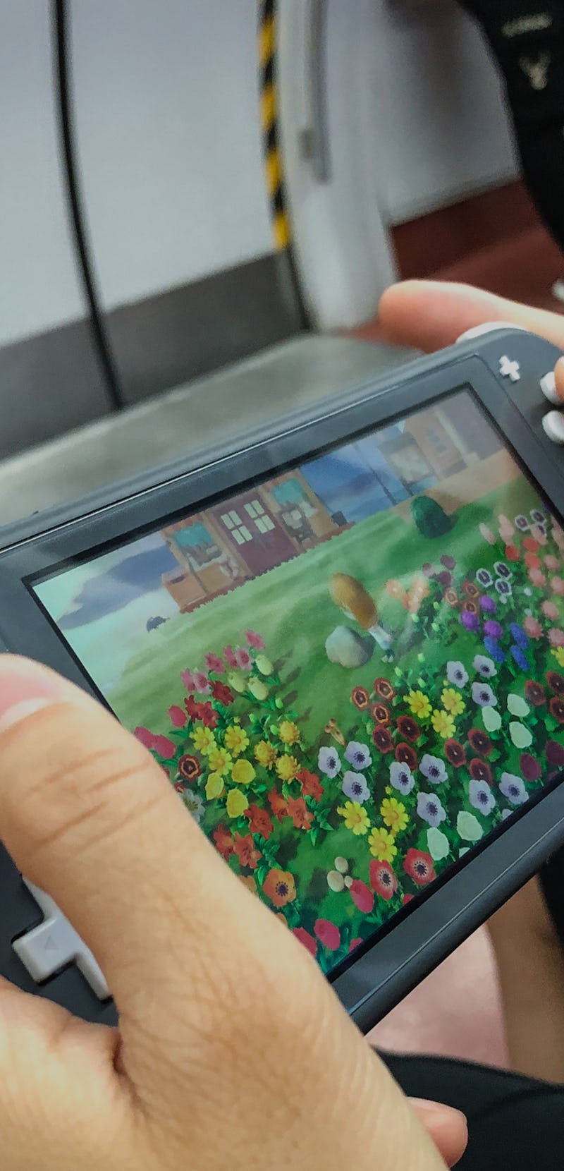 A passenger using a Nintendo Switch to play video game 'Animal Crossing: New Horizons' on a subway t...