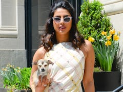 Priyanka Chopra Jonas is just one of many celebrities with adorable dogs.