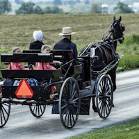 Amish DNA study reveals why some people are less prone to heart disease