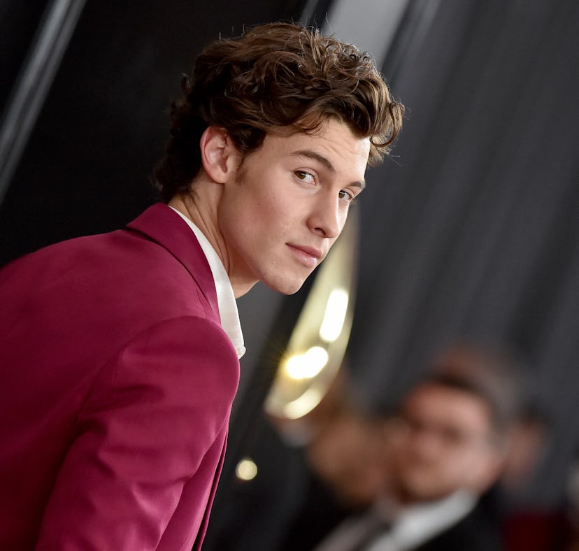 Shawn Mendes will release a new single, "It'll Be OK," on Dec. 1.