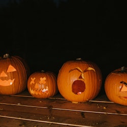 A line up of ripe orange pumpkins, scooped out and carved as a hallowe'en decoration, traditional in...