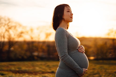 Portrait of young Asian pregnant woman taking rest in park at sunset. Watching sunset over dramatic ...