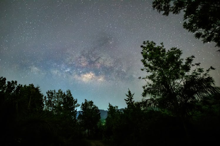 The Milky way spotted in a forest in the outskirts of Bangalore, india