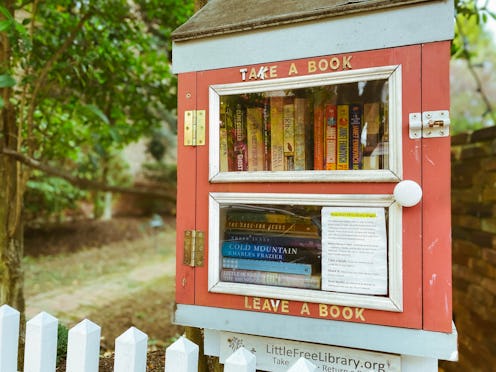 Alexandria, Virginia - November 15, 2019. A Little Free Library book-sharing box in Old Town Alexand...