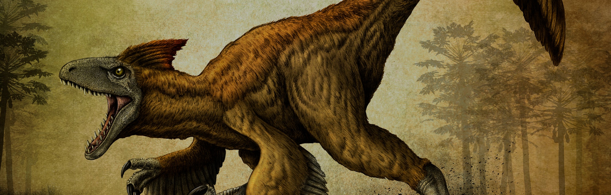 Utahraptor, a large dromaeosaur dinosaur from the Cretaceous Period.