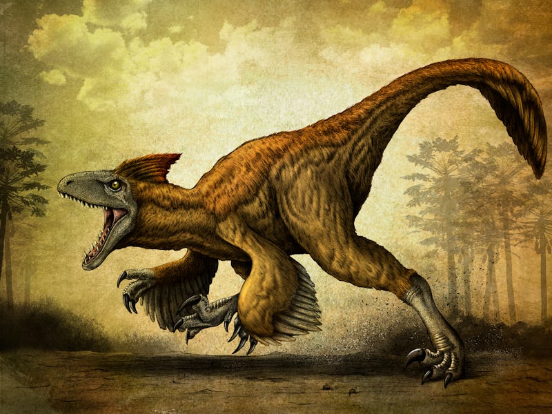Utahraptor, a large dromaeosaur dinosaur from the Cretaceous Period.
