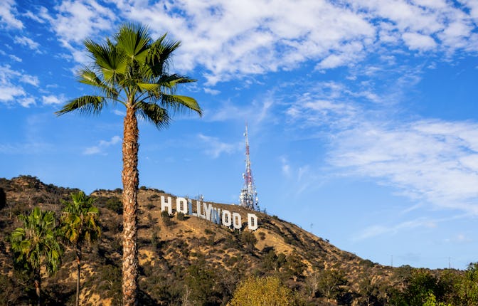 20 october 2018 - Los Angeles, California. USA: Hollywod sign from lake hollywood park with a palm t...