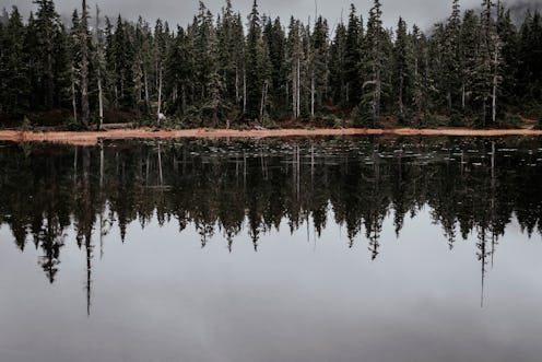 Campbell River, BC , CAN - November , 02, 2021: A beautiful subalpine lake in Strathcona Provincial ...