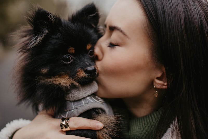 11 Common Dog Habits That Mimic Their Owner s Behavior 11 Common Dog Habits That Mimic Their Owner s Behavior