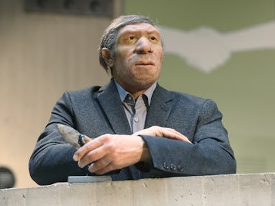 30 September 2021, North Rhine-Westphalia, Mettmann: The Neanderthal in the Museum Mettmann is dress...