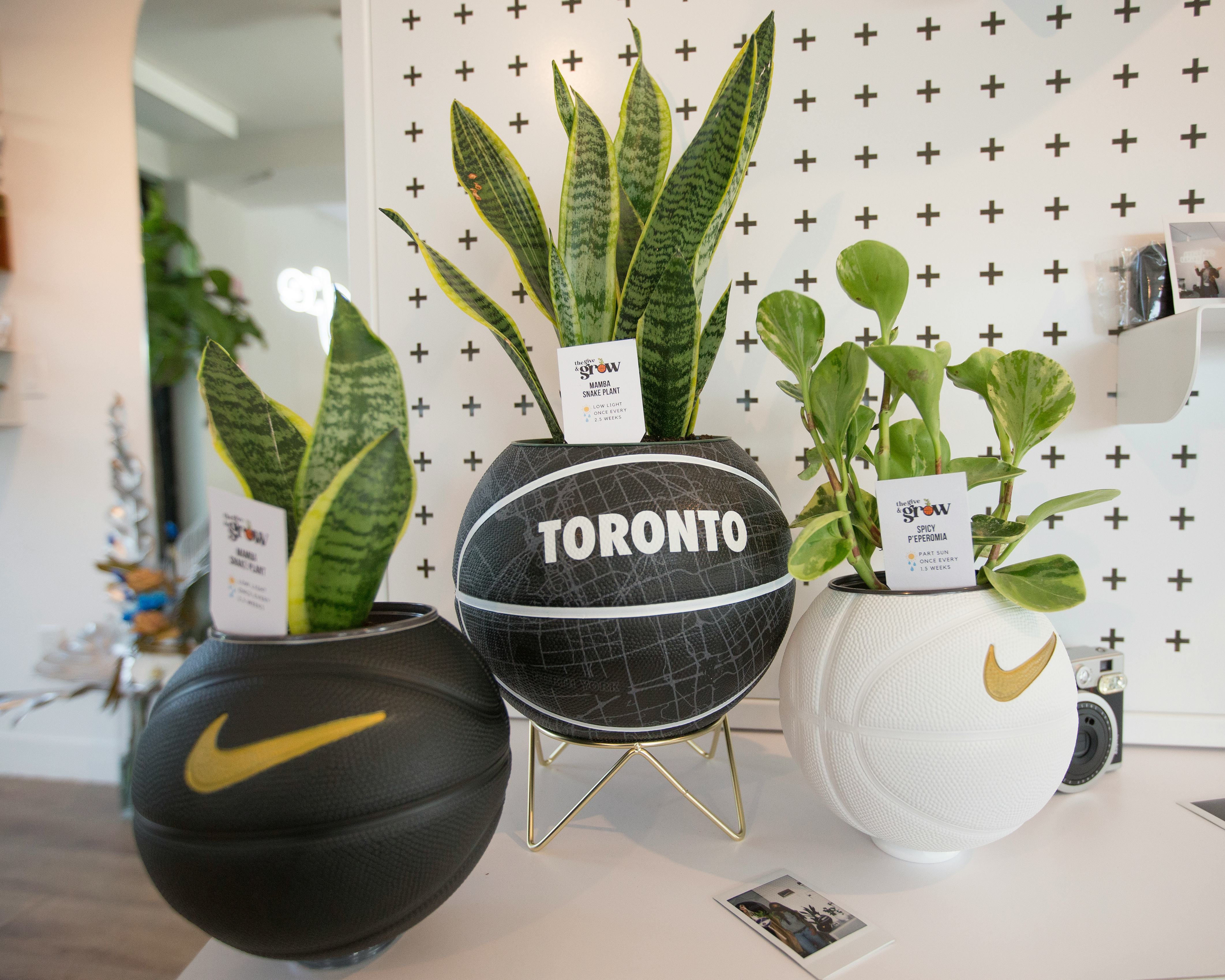 TORONTO, ON - NOVEMBER 20: Basketball themed planters. Make Way, a new store in the Stackt Market, i...