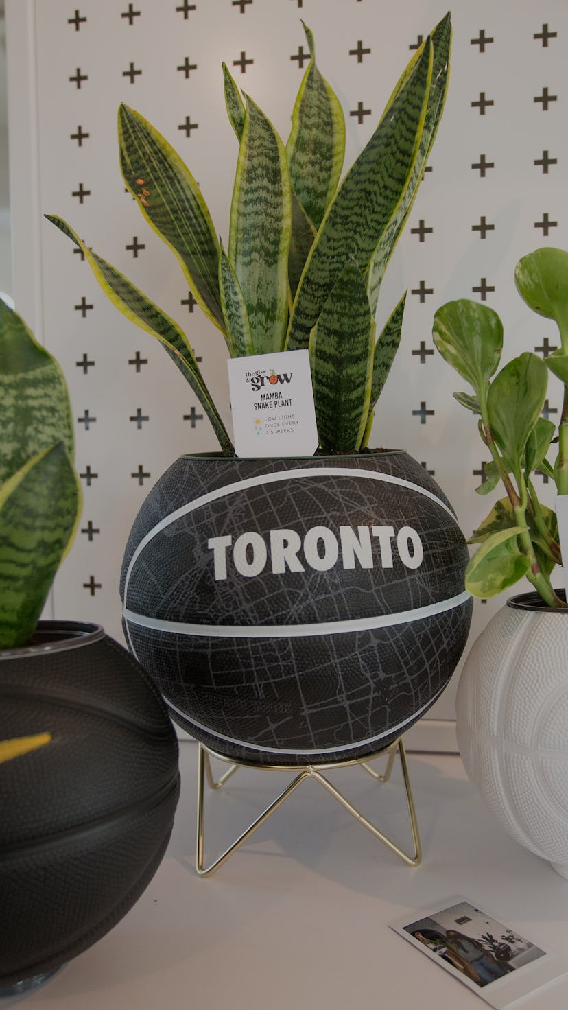 TORONTO, ON - NOVEMBER 20: Basketball themed planters. Make Way, a new store in the Stackt Market, i...