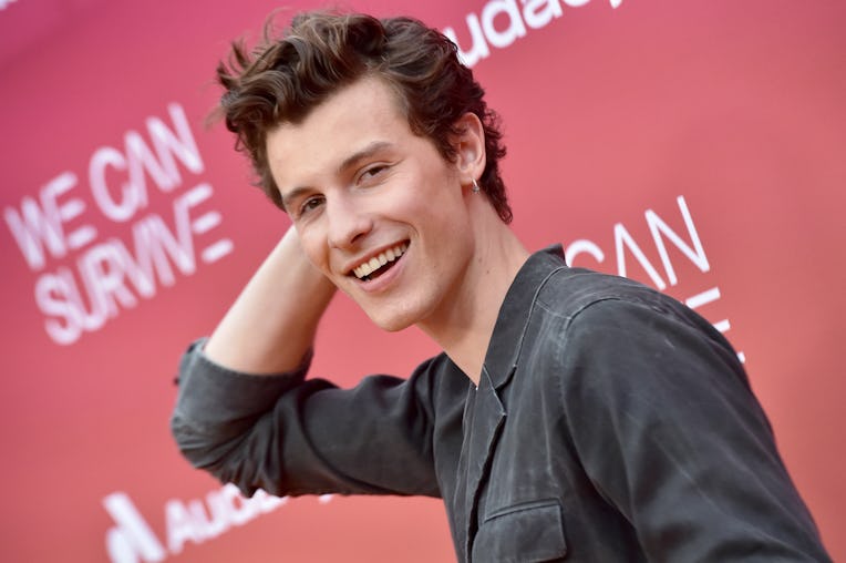 LOS ANGELES, CALIFORNIA - OCTOBER 23: Shawn Mendes attends the 8th Annual "We Can Survive" Concert h...