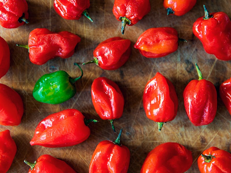 There is one green chilli amongst many red chillies