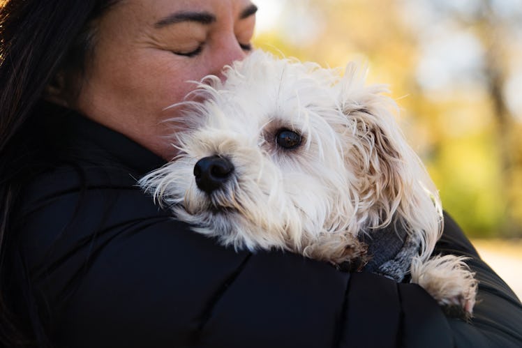 Woman hugging and kissing her dog in windy autumn. They are dressed with warm clothes. Woman is in h...