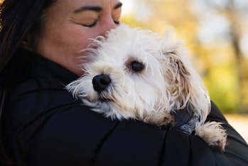 Woman hugging and kissing her dog in windy autumn. They are dressed with warm clothes. Woman is in h...