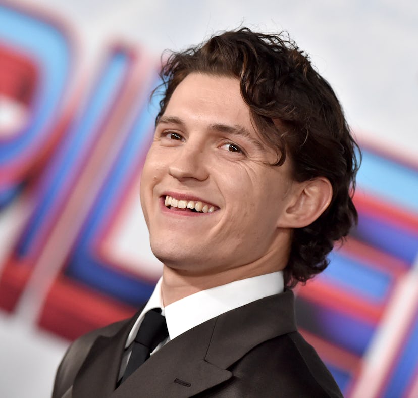 Tom Holland said he wants to appear in 'Euphoria' alongside his girlfriend Zendaya.