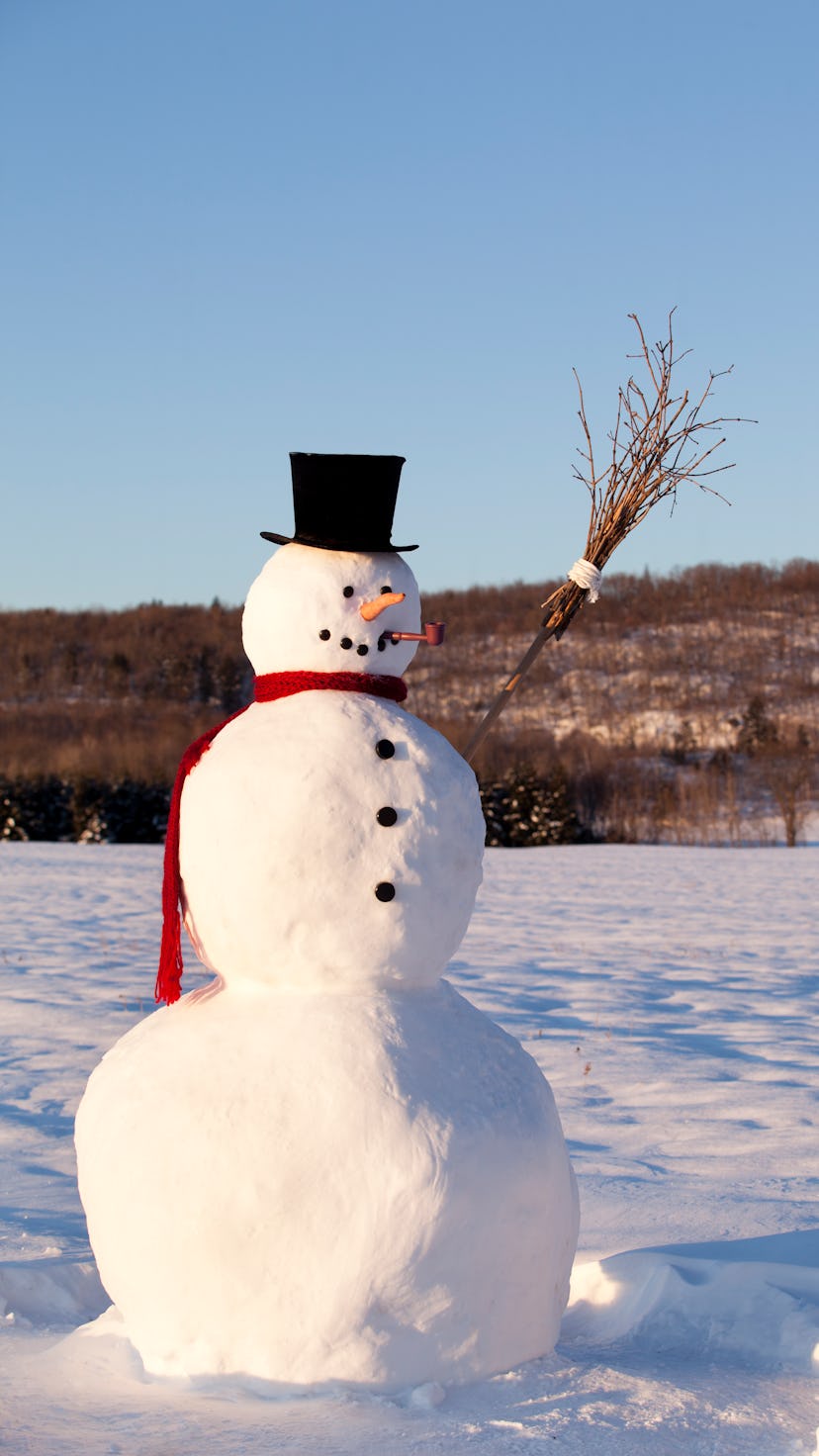 diy and kits to build a snowman